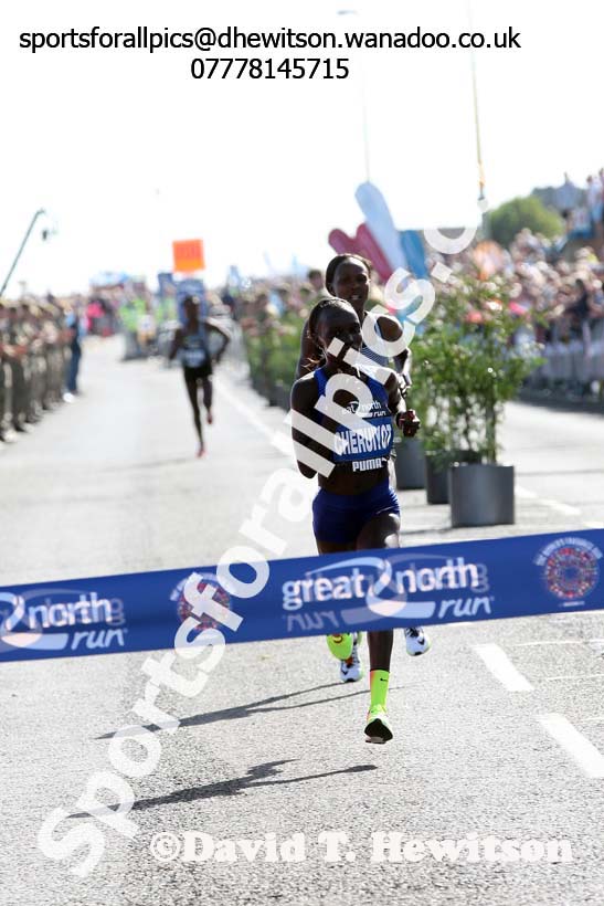 Womens Great North Run. Photo: David T. Hewitson/Sports for All Pics